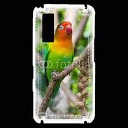 Coque Samsung Player One Oiseau Inséparable
