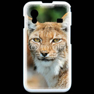 Coque Samsung ACE S5830 Lynx 1