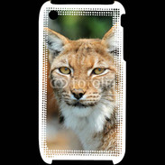 Coque iPhone 3G / 3GS Lynx 1