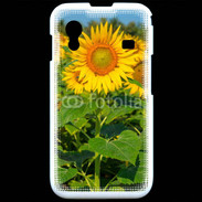 Coque Samsung ACE S5830 Champs de Tournesol