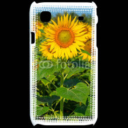 Coque Samsung Galaxy S Champs de Tournesol