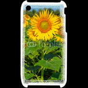 Coque iPhone 3G / 3GS Champs de Tournesol