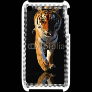Coque iPhone 3G / 3GS Tigre 3