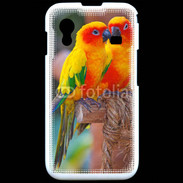 Coque Samsung ACE S5830 Couple d'oiseaux colorés