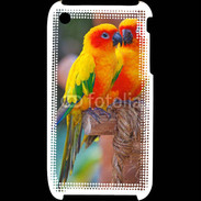 Coque iPhone 3G / 3GS Couple d'oiseaux colorés