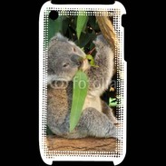Coque iPhone 3G / 3GS Koala 2