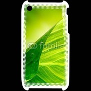 Coque iPhone 3G / 3GS Feuille écologie