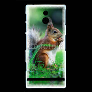 Coque Sony Xperia U Ecureuil