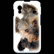 Coque Samsung ACE S5830 Portrait de Yorkshire