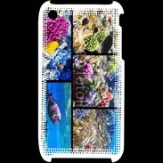 Coque iPhone 3G / 3GS Poissons et coraux 5