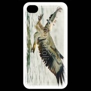 Coque iPhone 4 / iPhone 4S Aigle pêcheur