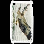 Coque iPhone 3G / 3GS Aigle pêcheur