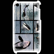 Coque iPhone 3G / 3GS Orque noir et blanc