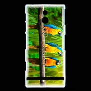 Coque Sony Xperia U Trois perroquets bleu et jaune