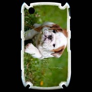 Coque Black Berry 8520 Chiot bulldog anglais 3