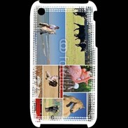 Coque iPhone 3G / 3GS Beauté de la camargue