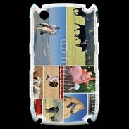 Coque Black Berry 8520 Beauté de la camargue