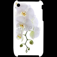 Coque iPhone 3G / 3GS Orchidée blanche