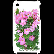 Coque iPhone 3G / 3GS Fleurs Dipladénia