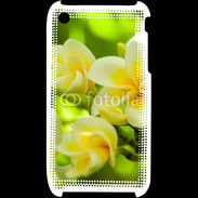 Coque iPhone 3G / 3GS Fleurs Frangipane