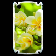Coque Black Berry 8520 Fleurs Frangipane