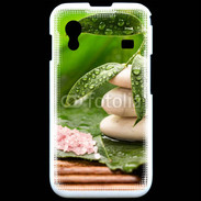 Coque Samsung ACE S5830 Galet et feuilles mouillées