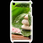 Coque iPhone 3G / 3GS Galet et feuilles mouillées