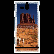 Coque SONY Xperia U Monument Valley USA