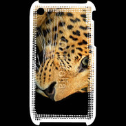 Coque iPhone 3G / 3GS Tête de léopard 2