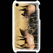 Coque iPhone 3G / 3GS Combat de cerf