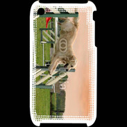 Coque iPhone 3G / 3GS Agility Golden retriever