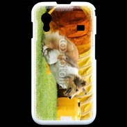 Coque Samsung ACE S5830 Agility Colley