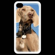 Coque iPhone 4 / iPhone 4S Chien de chasse Braque