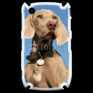 Coque Black Berry 8520 Chien de chasse Braque