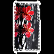 Coque iPhone 3G / 3GS Spa et nature 5