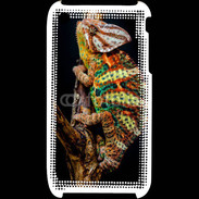 Coque iPhone 3G / 3GS Caméléon Yemen