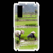 Coque Samsung Player One Rizière au Vietnam
