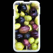 Coque Samsung ACE S5830 Olives de Provence