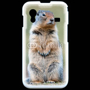 Coque Samsung ACE S5830 Marmotte 2