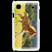 Coque Samsung Galaxy S Poulain dans un champs