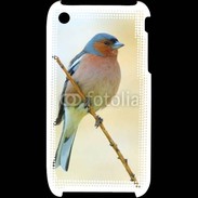 Coque iPhone 3G / 3GS Oiseau 5