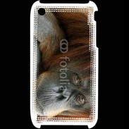 Coque iPhone 3G / 3GS Portrait de singe