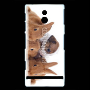 Coque Sony Xperia U Gardien de lapins