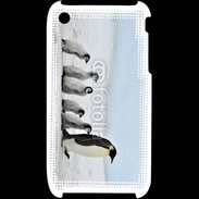 Coque iPhone 3G / 3GS Famille de Pingouin Empereur