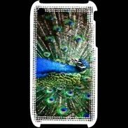 Coque iPhone 3G / 3GS Paon faisant la roue
