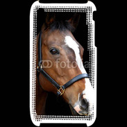 Coque iPhone 3G / 3GS Portrait de cheval 2
