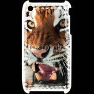Coque iPhone 3G / 3GS Tigre de Sibérie 1
