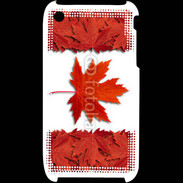 Coque iPhone 3G / 3GS Canada en feuilles