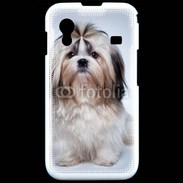 Coque Samsung ACE S5830 Chiot Shihtzu