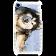 Coque iPhone 3G / 3GS Chien d'Alaska